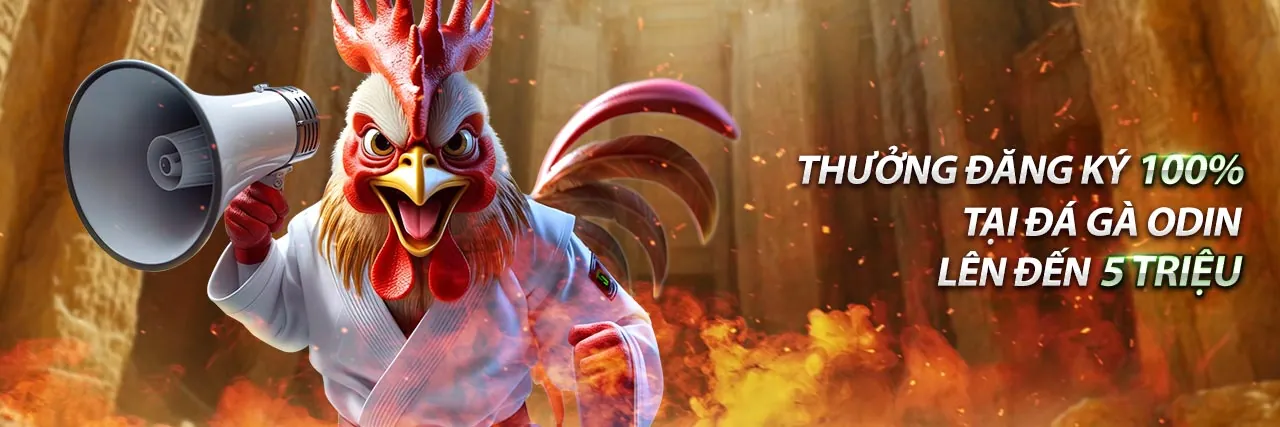 Tổng quan về 8ok Win, nhà cái cá cược trực tuyến hàng đầu Việt Nam