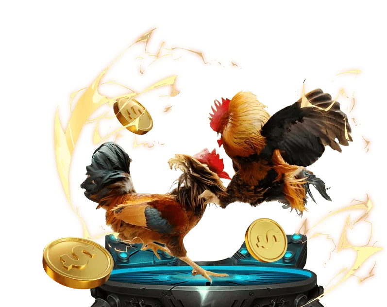 Đá gà cựa sắt